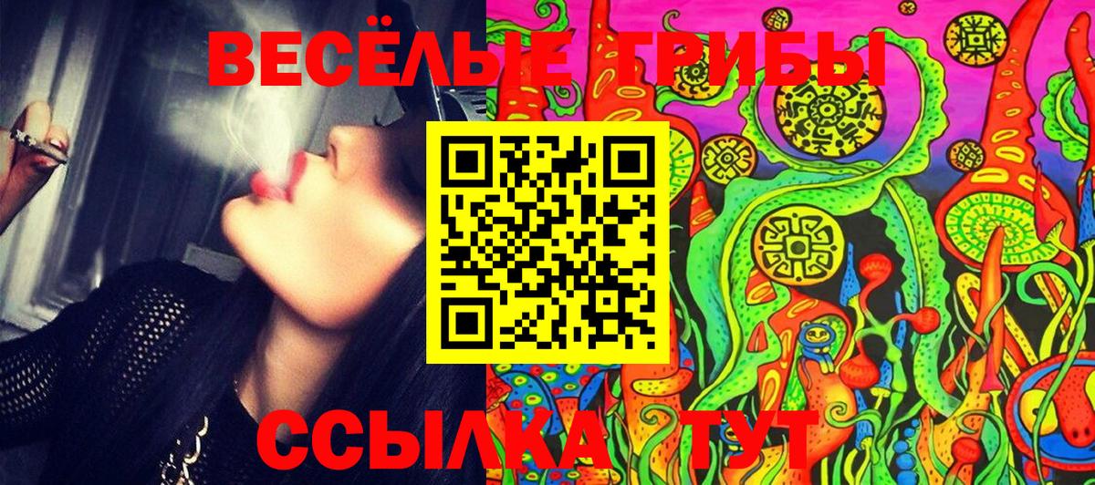 Псилоцибиновые грибы Cubensis  Вход с VPN  Мирный 